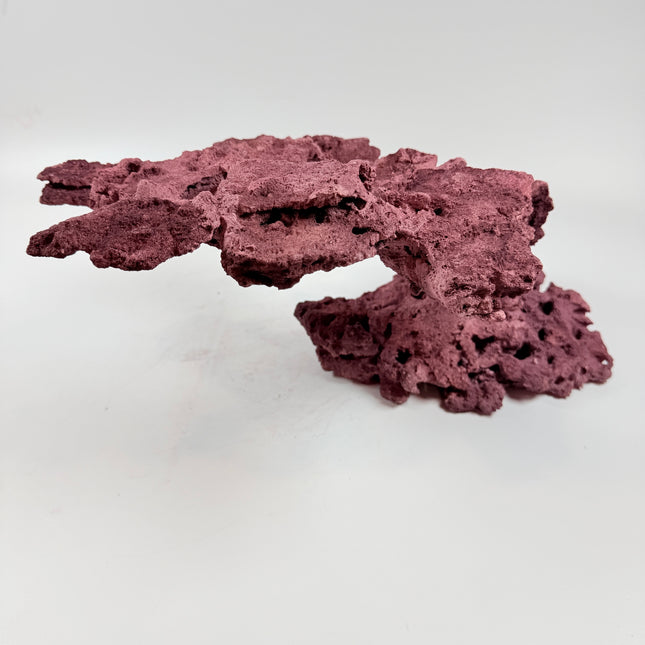 WYSIWYG Coraline Reef Rock #45