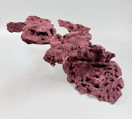 WYSIWYG Coraline Reef Rock #45