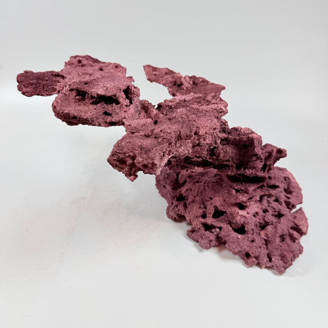 WYSIWYG Coraline Reef Rock #45