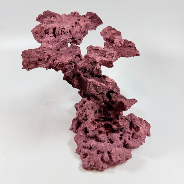 WYSIWYG Coraline Reef Rock #45