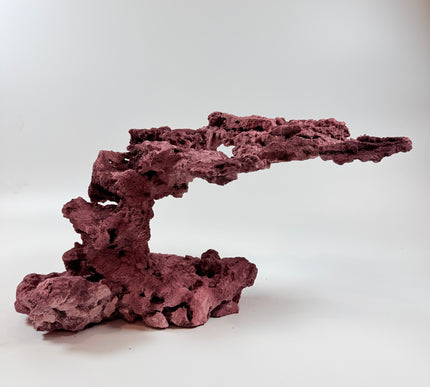 WYSIWYG Coraline Reef Rock #45