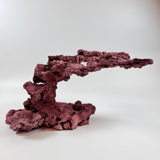 WYSIWYG Coraline Reef Rock #45