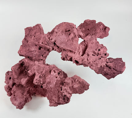 WYSIWYG Coraline Reef Rock #45