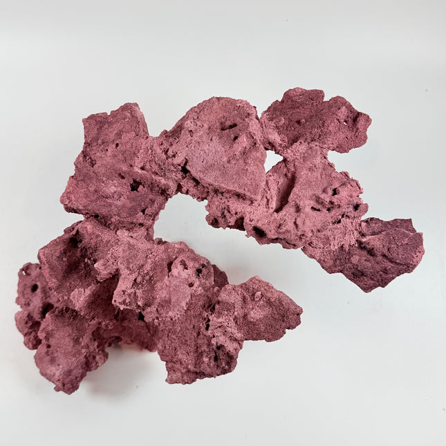 WYSIWYG Coraline Reef Rock #45