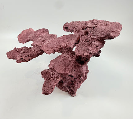 WYSIWYG Coraline Reef Rock #46