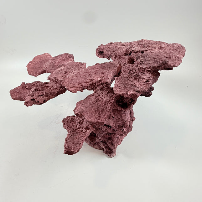 WYSIWYG Coraline Reef Rock #46