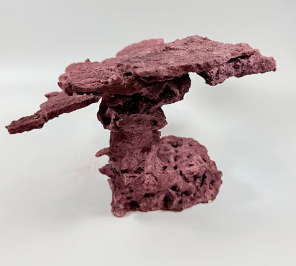 WYSIWYG Coraline Reef Rock #46
