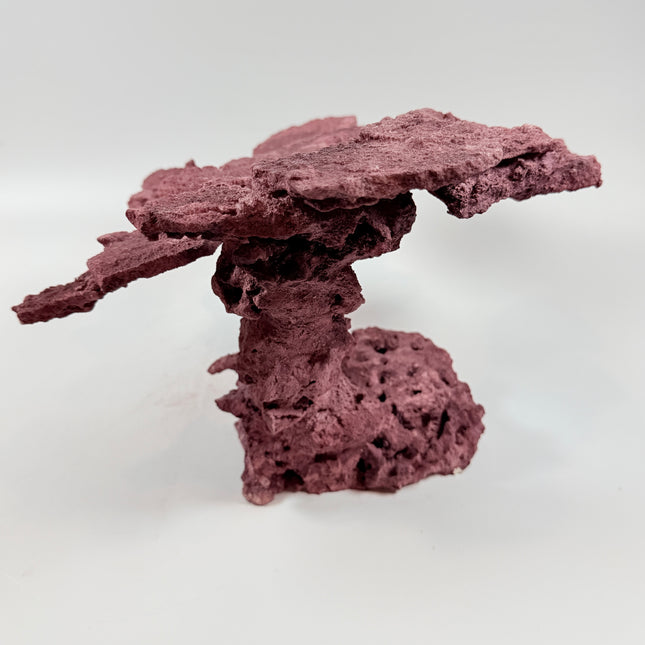 WYSIWYG Coraline Reef Rock #46