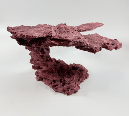 WYSIWYG Coraline Reef Rock #46
