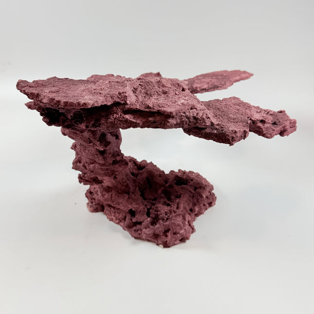 WYSIWYG Coraline Reef Rock #46