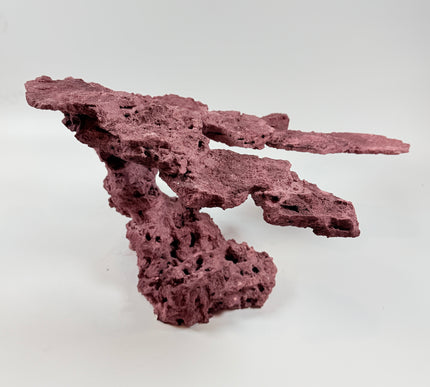 WYSIWYG Coraline Reef Rock #46