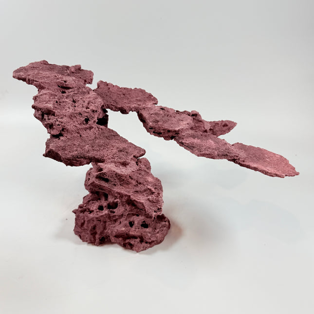 WYSIWYG Coraline Reef Rock #46