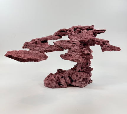 WYSIWYG Coraline Reef Rock #46