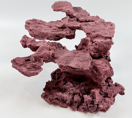 WYSIWYG Coraline Reef Rock #47