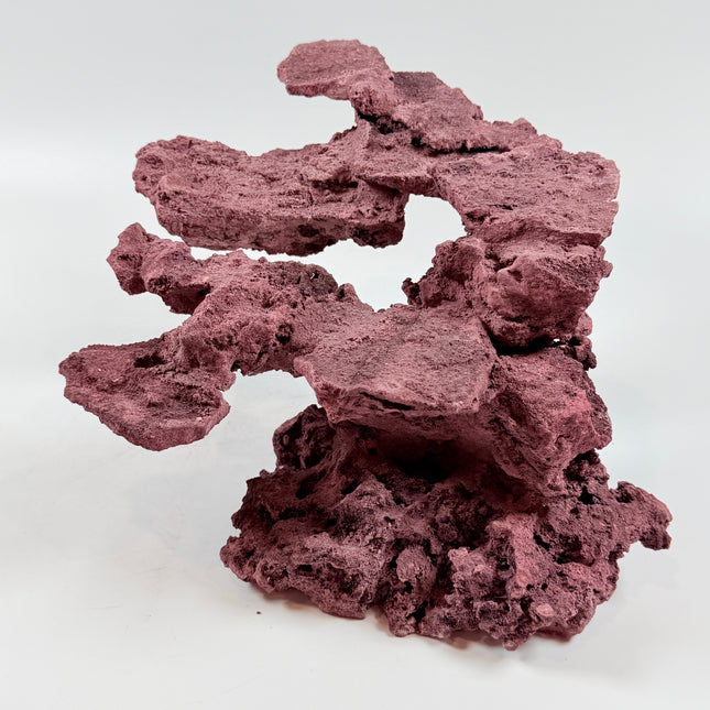 WYSIWYG Coraline Reef Rock #47