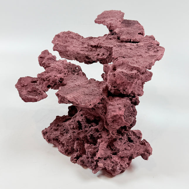 WYSIWYG Coraline Reef Rock #47