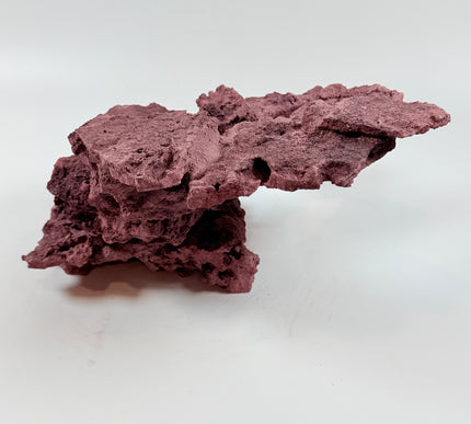 WYSIWYG Coraline Reef Rock #47