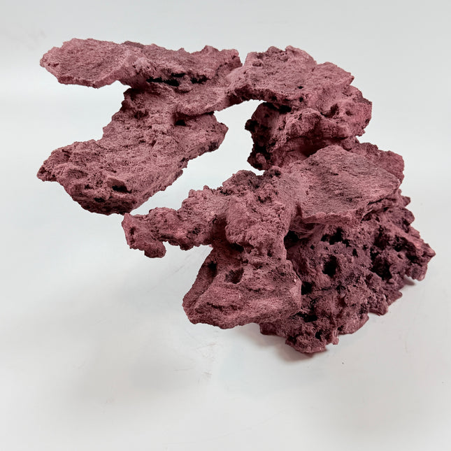 WYSIWYG Coraline Reef Rock #47