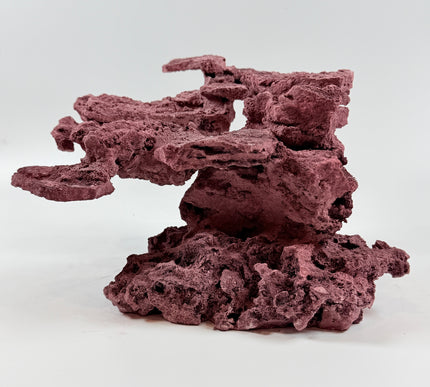 WYSIWYG Coraline Reef Rock #47