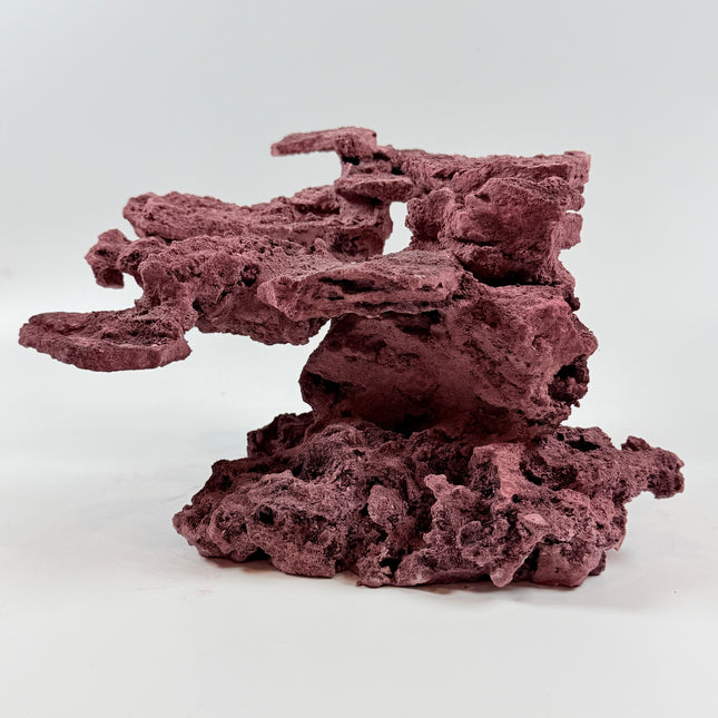 WYSIWYG Coraline Reef Rock #47