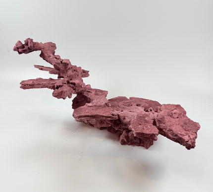 WYSIWYG Coraline Reef Rock #48