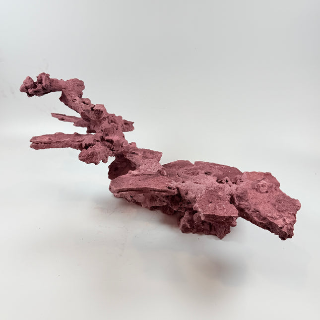 WYSIWYG Coraline Reef Rock #48