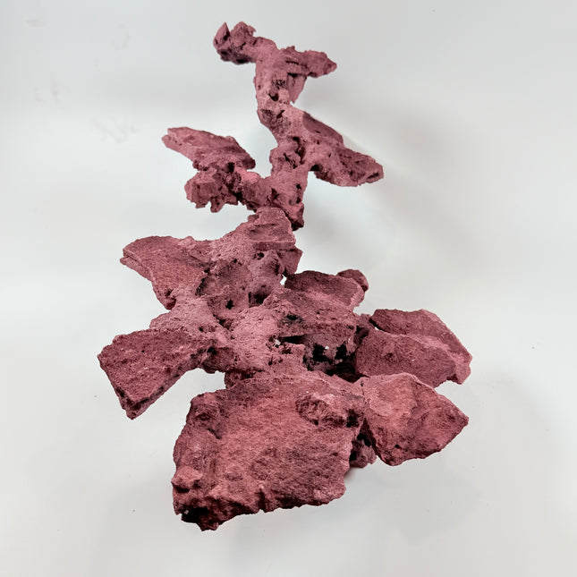 WYSIWYG Coraline Reef Rock #48