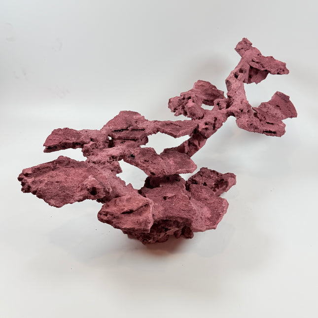 WYSIWYG Coraline Reef Rock #48