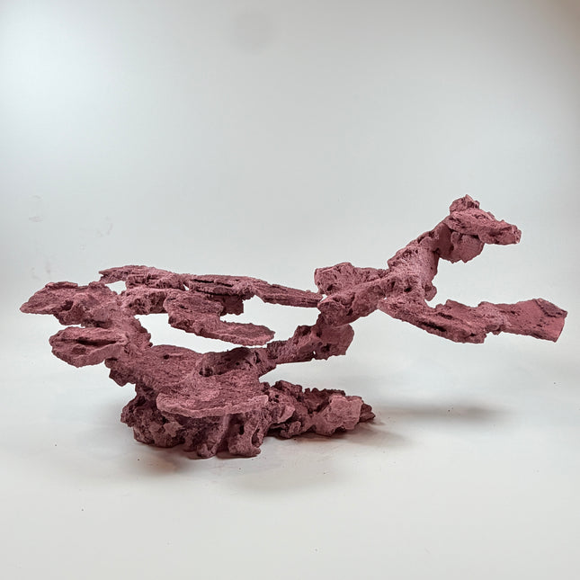 WYSIWYG Coraline Reef Rock #48