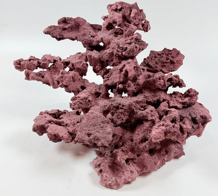 WYSIWYG Coraline Reef Rock #49