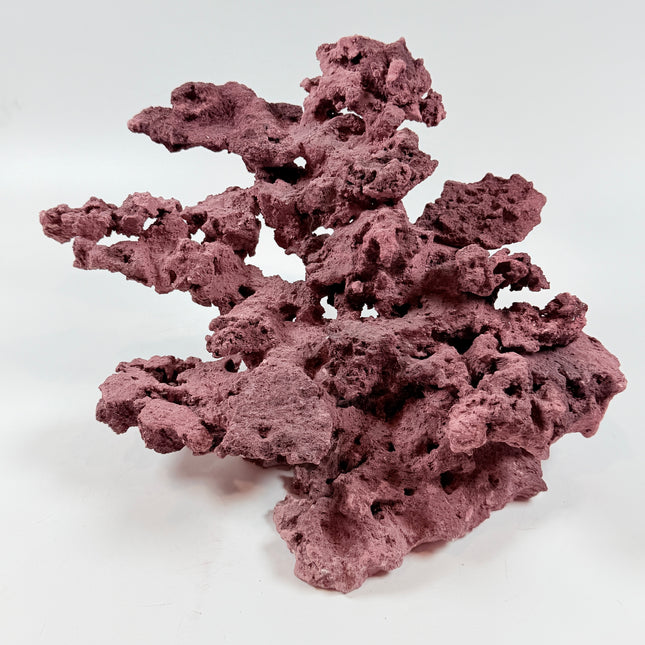 WYSIWYG Coraline Reef Rock #50