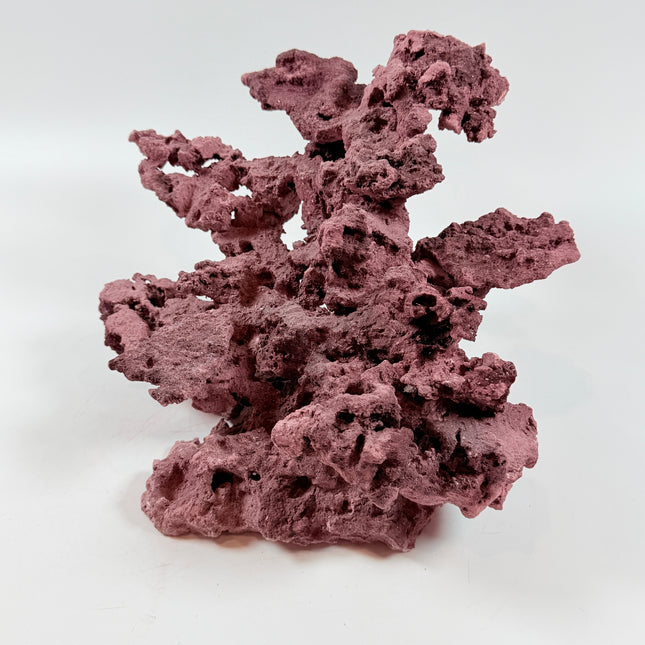WYSIWYG Coraline Reef Rock #50