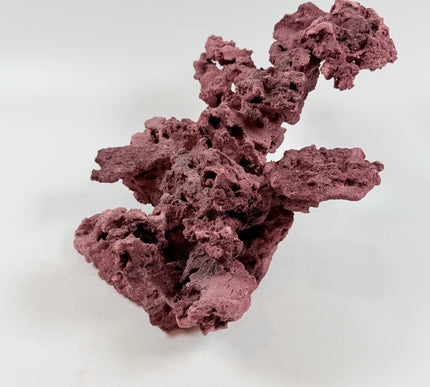 WYSIWYG Coraline Reef Rock #49