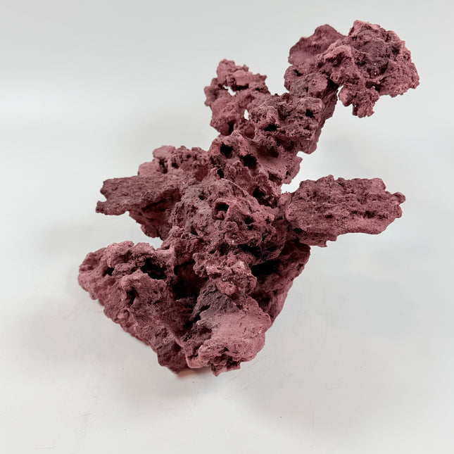 WYSIWYG Coraline Reef Rock #49