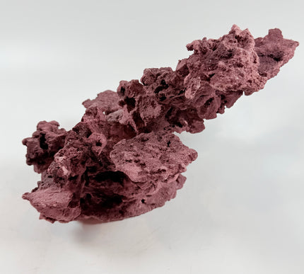 WYSIWYG Coraline Reef Rock #49