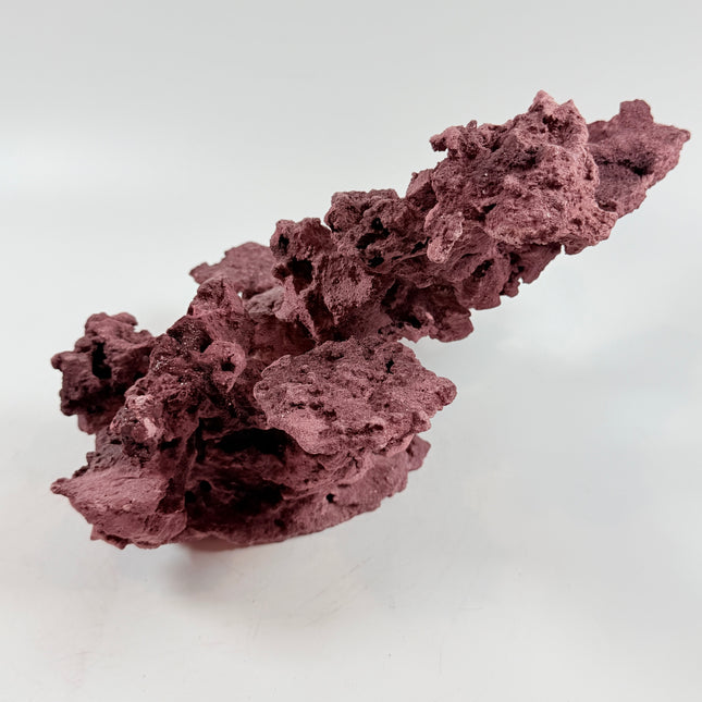 WYSIWYG Coraline Reef Rock #49