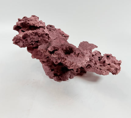 WYSIWYG Coraline Reef Rock #49