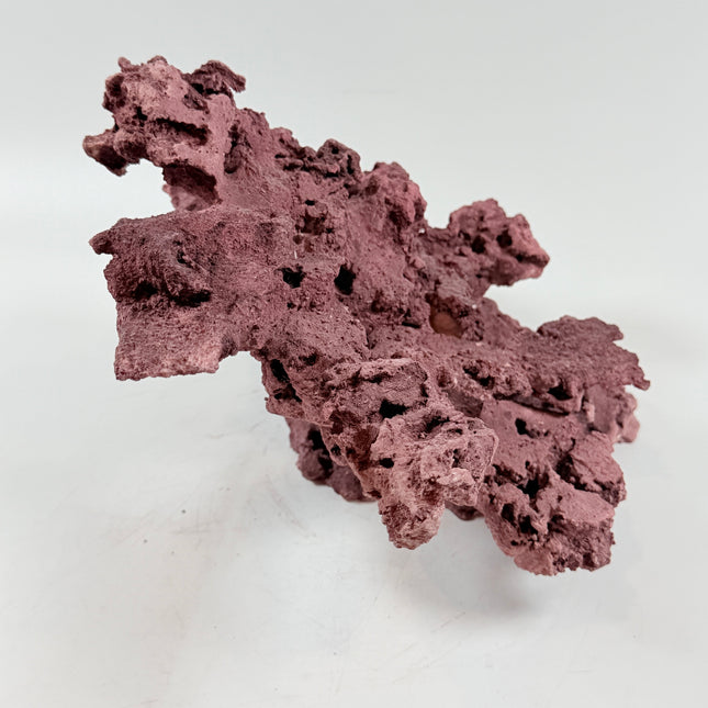 WYSIWYG Coraline Reef Rock #50