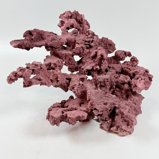 WYSIWYG Coraline Reef Rock #49