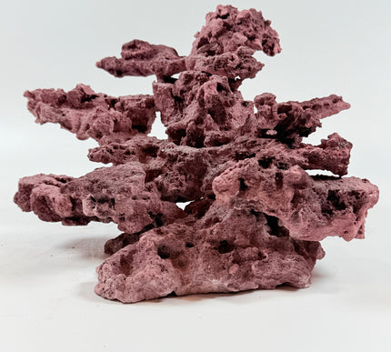 WYSIWYG Coraline Reef Rock #49
