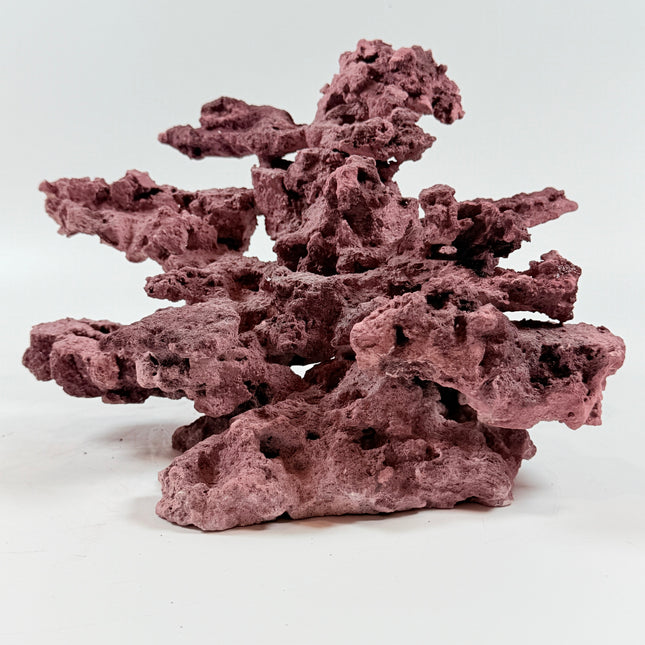 WYSIWYG Coraline Reef Rock #49