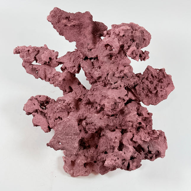 WYSIWYG Coraline Reef Rock #50