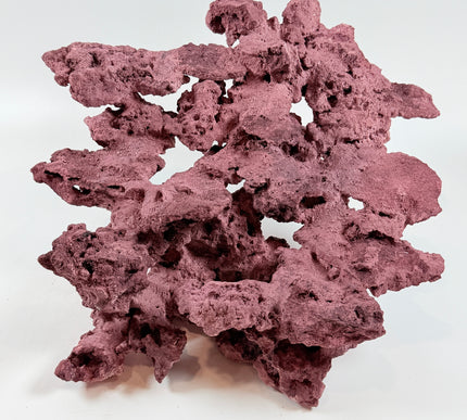WYSIWYG Coraline Reef Rock #50