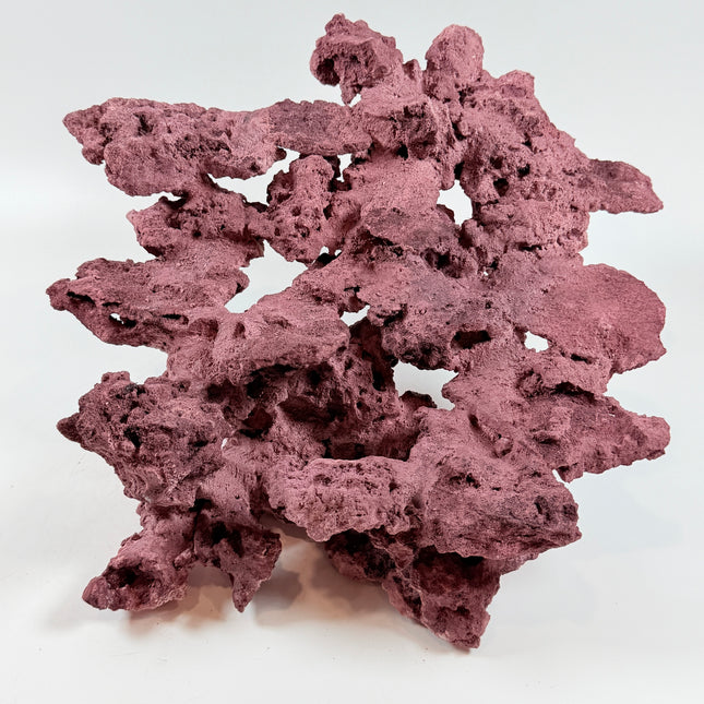 WYSIWYG Coraline Reef Rock #50