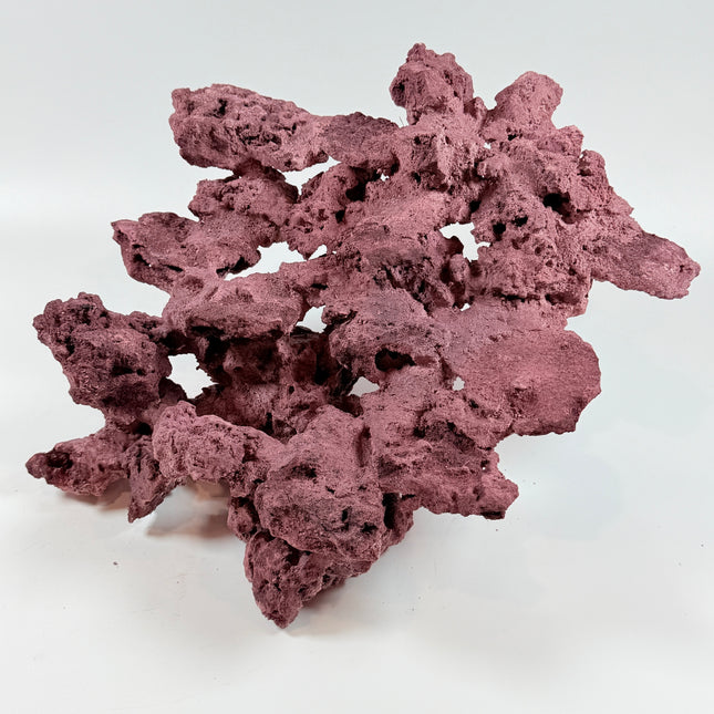 WYSIWYG Coraline Reef Rock #50