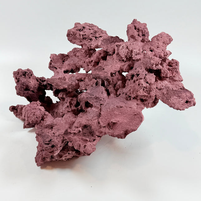 WYSIWYG Coraline Reef Rock #50