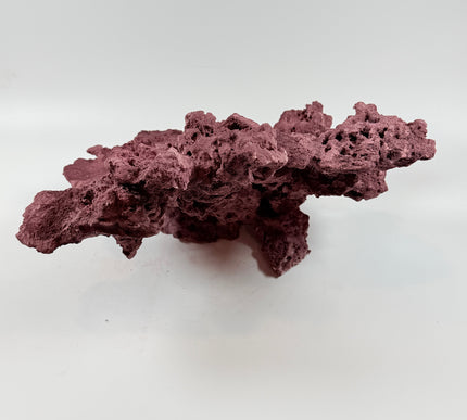 WYSIWYG Coraline Reef Rock #50