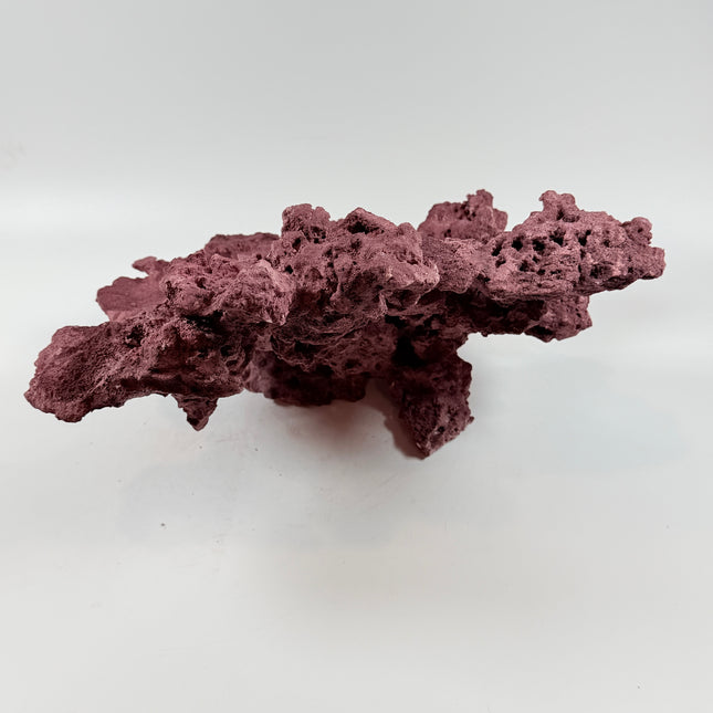WYSIWYG Coraline Reef Rock #50