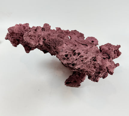 WYSIWYG Coraline Reef Rock #50