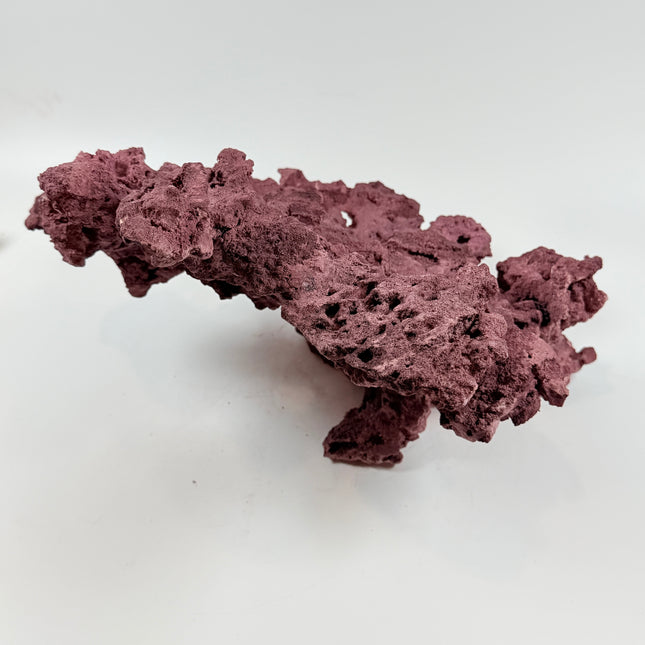 WYSIWYG Coraline Reef Rock #50